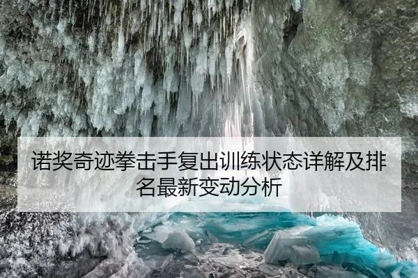 诺奖奇迹拳击手复出训练状态详解及排名最新变动分析